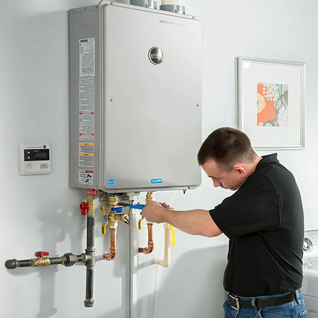 tankless water heater repair in Hildreth, NE